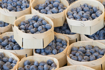 Blueberries at the market