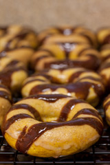 Pumpkin Doughnuts
