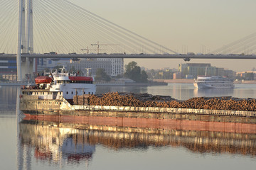 Fototapeta premium Cargo ship and cable-braced bridge