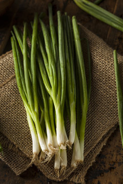 Organic Healthy Green Onion