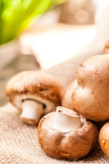 Fresh brown Agaricus mushrooms