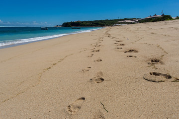 Beautiful tropical beach with lush vegetation
