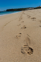 Beautiful tropical beach with lush vegetation