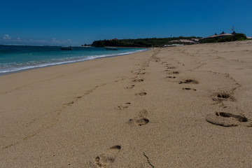Beautiful tropical beach with lush vegetation