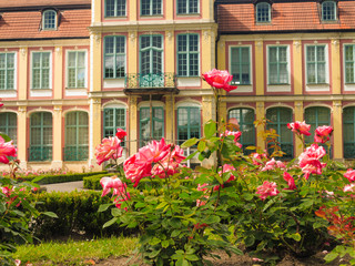 abbots palace and flowers in gdansk oliva park