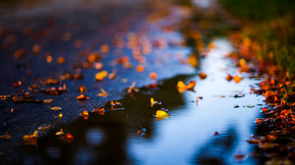 Herbst