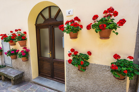 Windows and doors in an old house decorated with flower