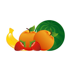 fruits design