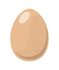 egg design