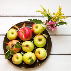 Fresh harvest of apples