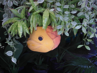 Fish Hanging Basket