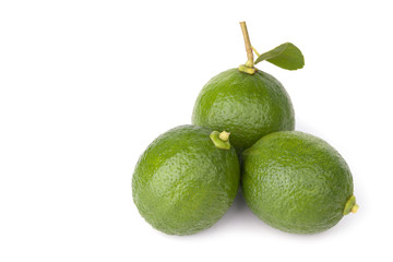 Citrus lime fruit isolated on white background