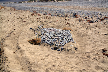 Recreación de un pez con piedras y arena en la playa