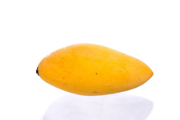 ripening mango