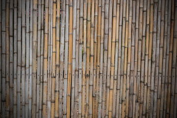 bamboo wall
