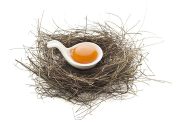 Egg yolk in the modern spoon and nest
