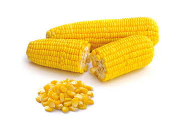 corn isolated on white background
