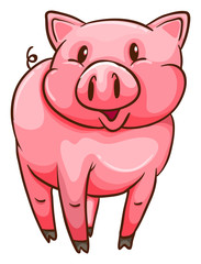 A simple sketch of a pig
