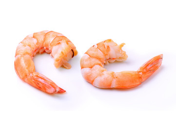 shrimps on a white background
