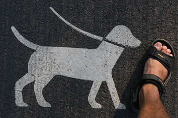 Dog sign and a Man's foot