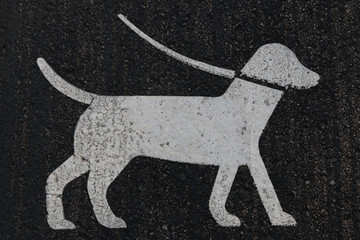 Dog Road Sign