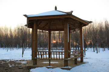 Winter gazebo