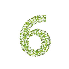 Spring green leaves. eco number 6