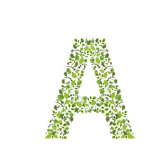Spring green leaves. eco letter A