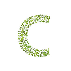 Spring green leaves. eco letter C