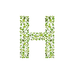 Spring green leaves. eco letter H