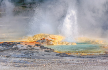 Yellowstone, Geyser, Wyoming, USA
