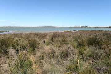 Natural park of La Mata