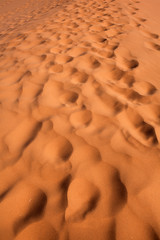 Sabbia rossa del deserto
