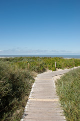 Langeoog Dünen