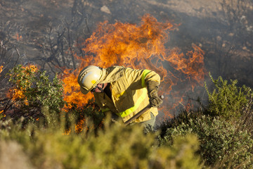 Fototapeta premium Bombero luchando contra un incendio forestal