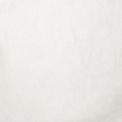 White leather texture