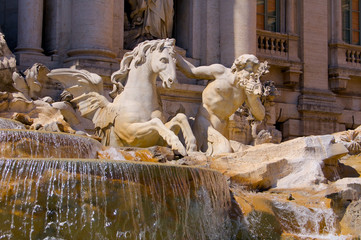 Fontana di Trevi pegasus