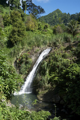 Fototapeta premium Concord Falls Grenada Carribean 02