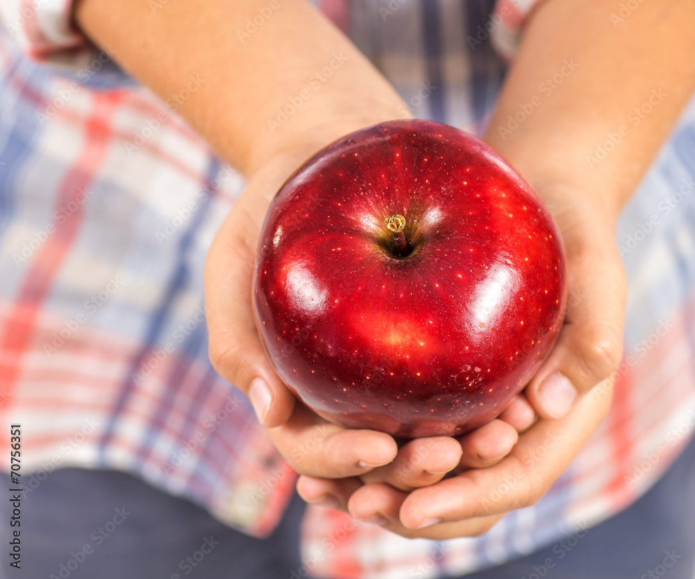 Wall mural red apple 3