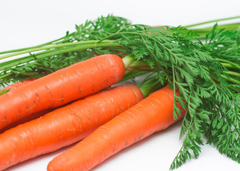 Carrots 13