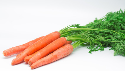 Carrots 10