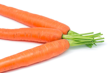 Carrots 5