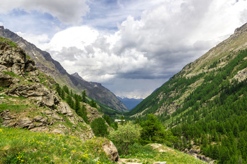 Fototapeta na wymiar Panorama di montagna