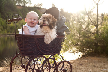 Baby and little puppy in apram