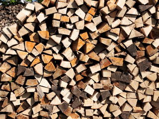 Frisches Brennholz