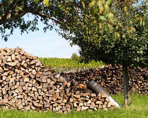 Frisches Brennholz © focus finder