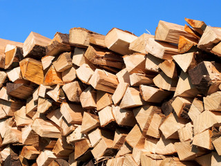 Frisches Brennholz