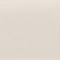 Background of textile texture