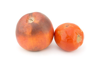 Rotten apple and tomato fruits isolated on a white background