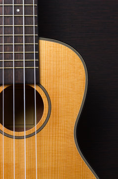 Ukulele hawaiian guitar